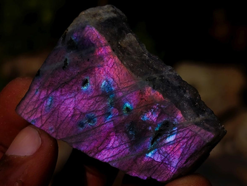 Polished Mini on One Side Labradorite Slices x 70 From Madagascar - Toprock Gemstones and Minerals 