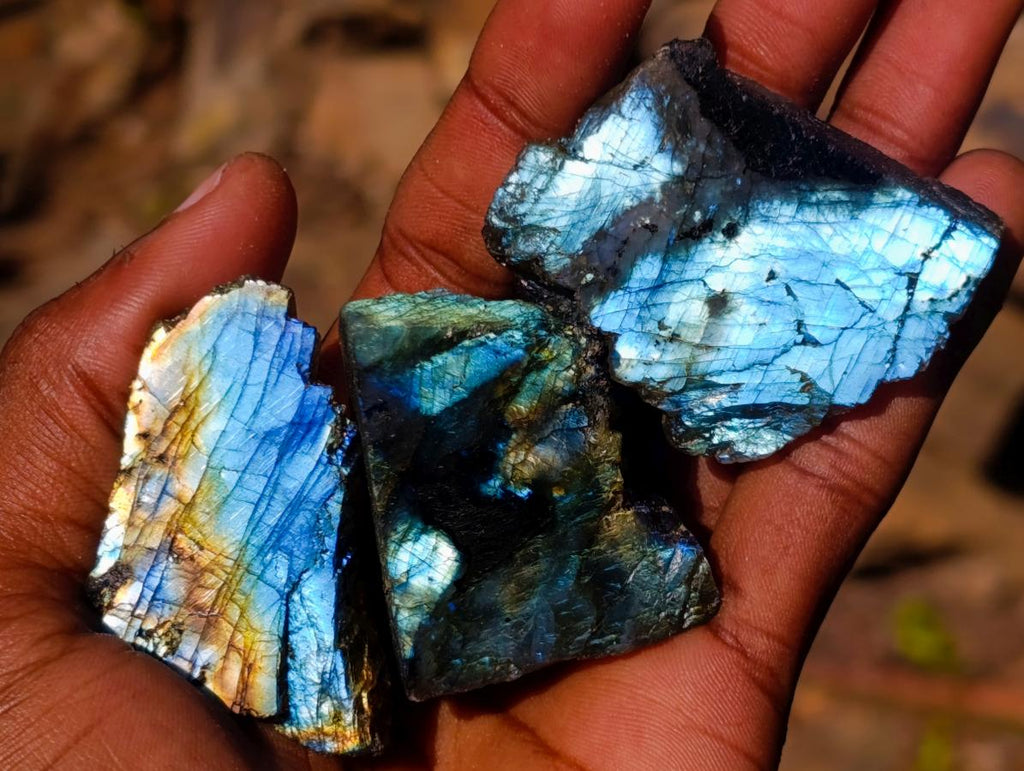 Polished Mini on One Side Labradorite Slices x 70 From Madagascar - Toprock Gemstones and Minerals 