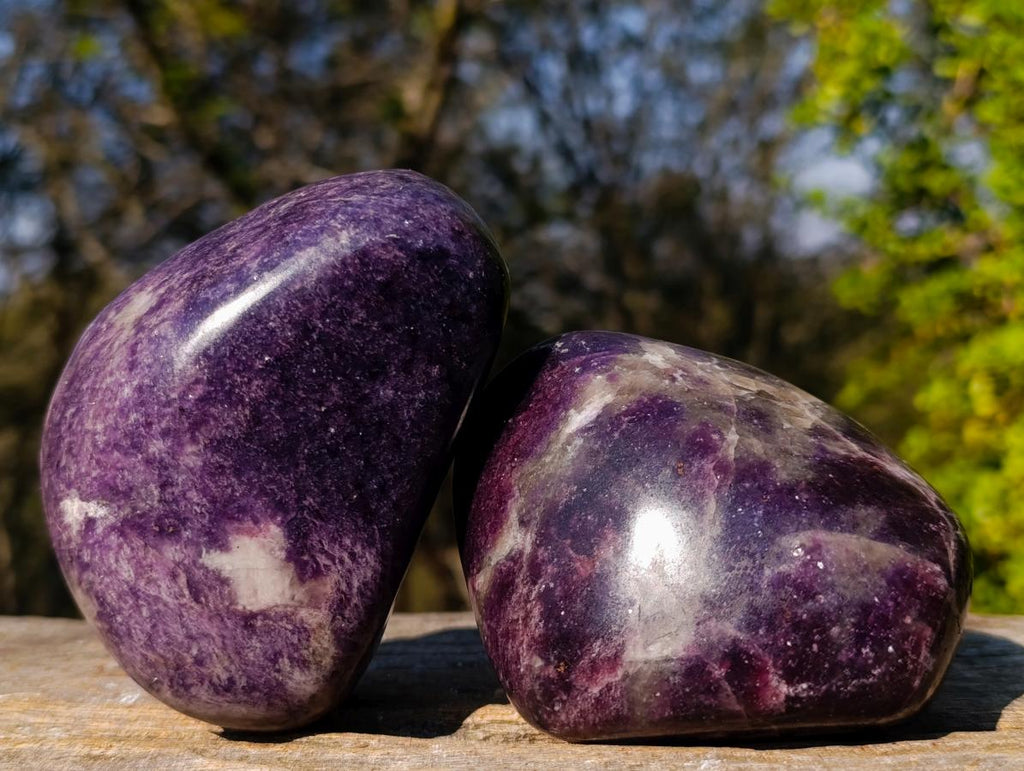 Polished Lepidolite Free Forms x 6 From Zimbabwe - Toprock Gemstones and Minerals 