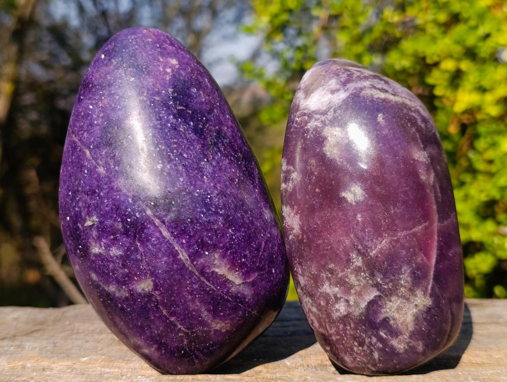 Polished Lepidolite Free Forms x 6 From Zimbabwe - Toprock Gemstones and Minerals 