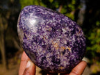 Polished Lepidolite Free Forms x 6 From Zimbabwe - Toprock Gemstones and Minerals 