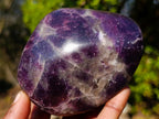 Polished Lepidolite Free Forms x 6 From Zimbabwe - Toprock Gemstones and Minerals 