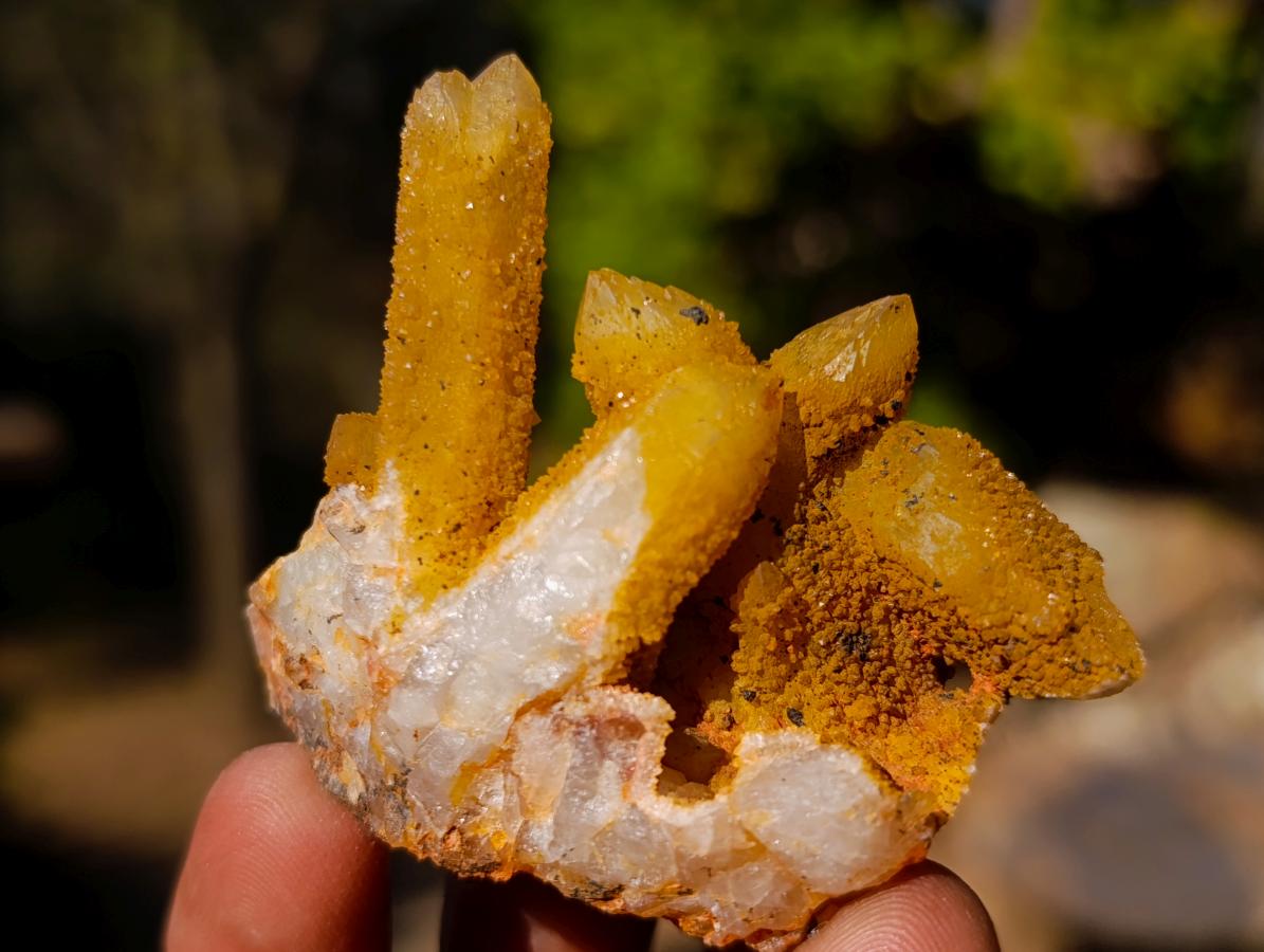 Natural Solar Spirit Quartz Crystals and Clusters x 35 From Boekenhouthoek, South Africa - Toprock Gemstones and Minerals 