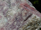 Natural Pink Rubellite Tourmaline Specimens x 2 From Karibib, Namibia - Toprock Gemstones and Minerals 