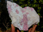 Natural Pink Rubellite Tourmaline Specimens x 2 From Karibib, Namibia - Toprock Gemstones and Minerals 