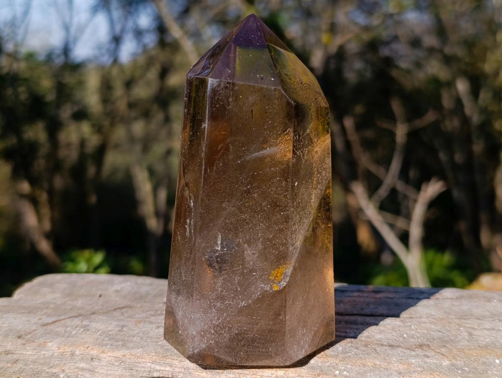 Polished Smokey Quartz Display Crystals x 3 From Madagascar - Toprock Gemstones and Minerals 