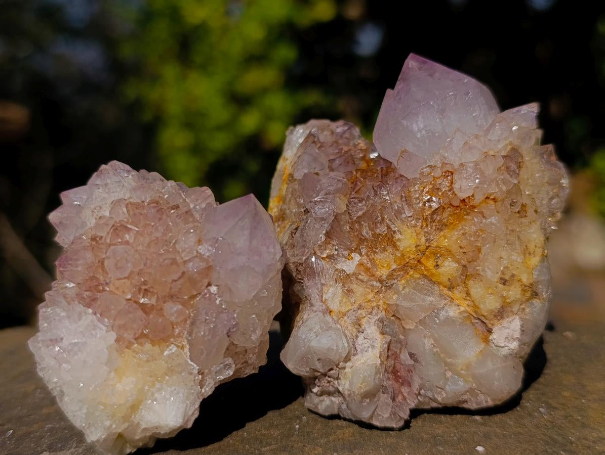 Natural Mixed Smokey Spirit Amethyst and Clear White Quartz Clusters x 12 From Boekenhouthoek, South Africa - Toprock Gemstones and Minerals 