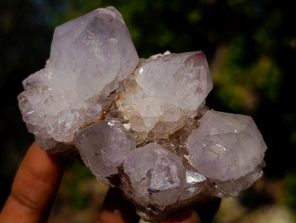 Natural Mixed Smokey Spirit Amethyst and Clear White Quartz Clusters x 12 From Boekenhouthoek, South Africa - Toprock Gemstones and Minerals 