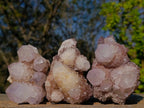 Natural Mixed Smokey Spirit Amethyst and Clear White Quartz Clusters x 12 From Boekenhouthoek, South Africa - Toprock Gemstones and Minerals 