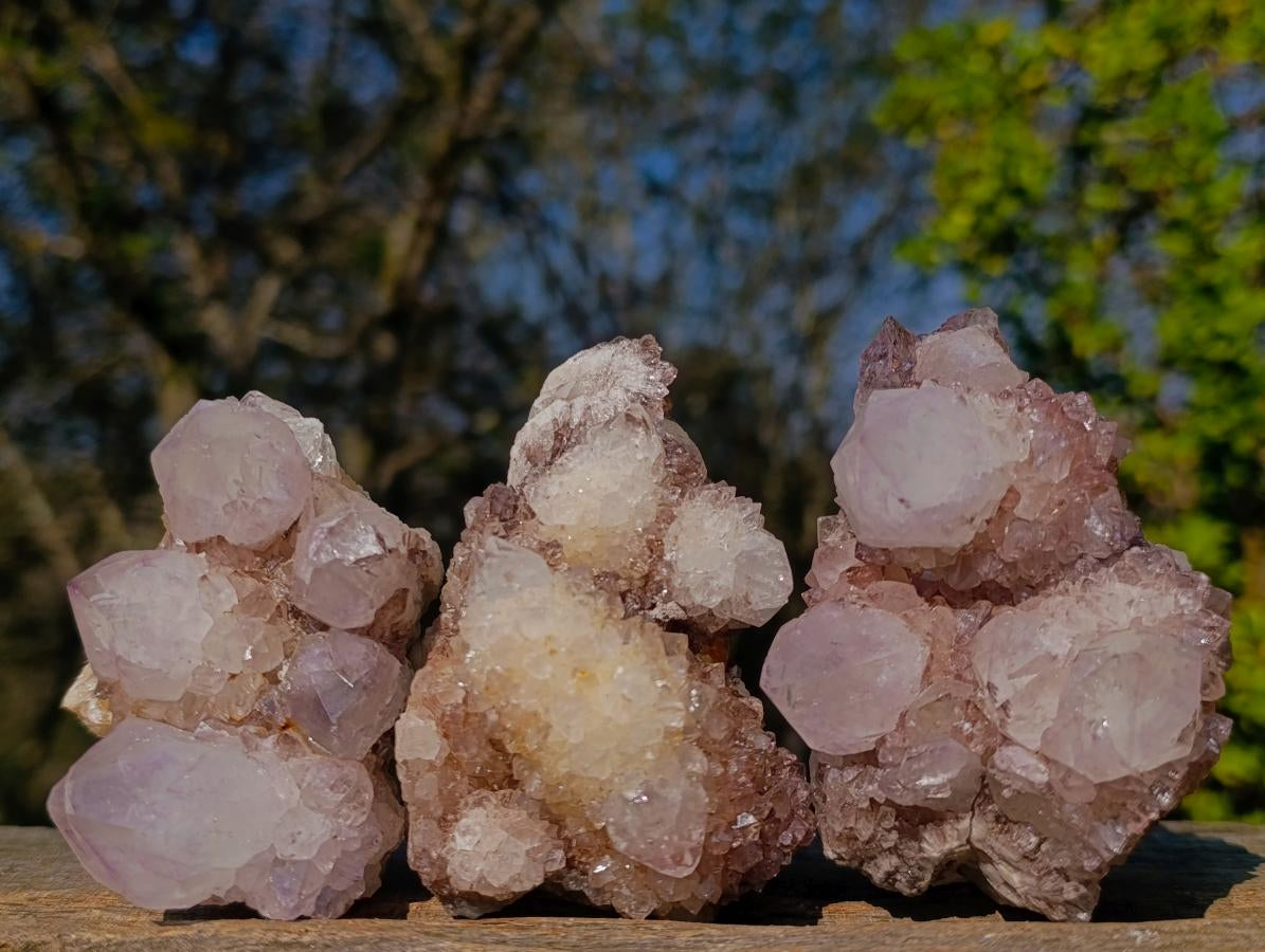 Natural Mixed Smokey Spirit Amethyst and Clear White Quartz Clusters x 12 From Boekenhouthoek, South Africa - Toprock Gemstones and Minerals 