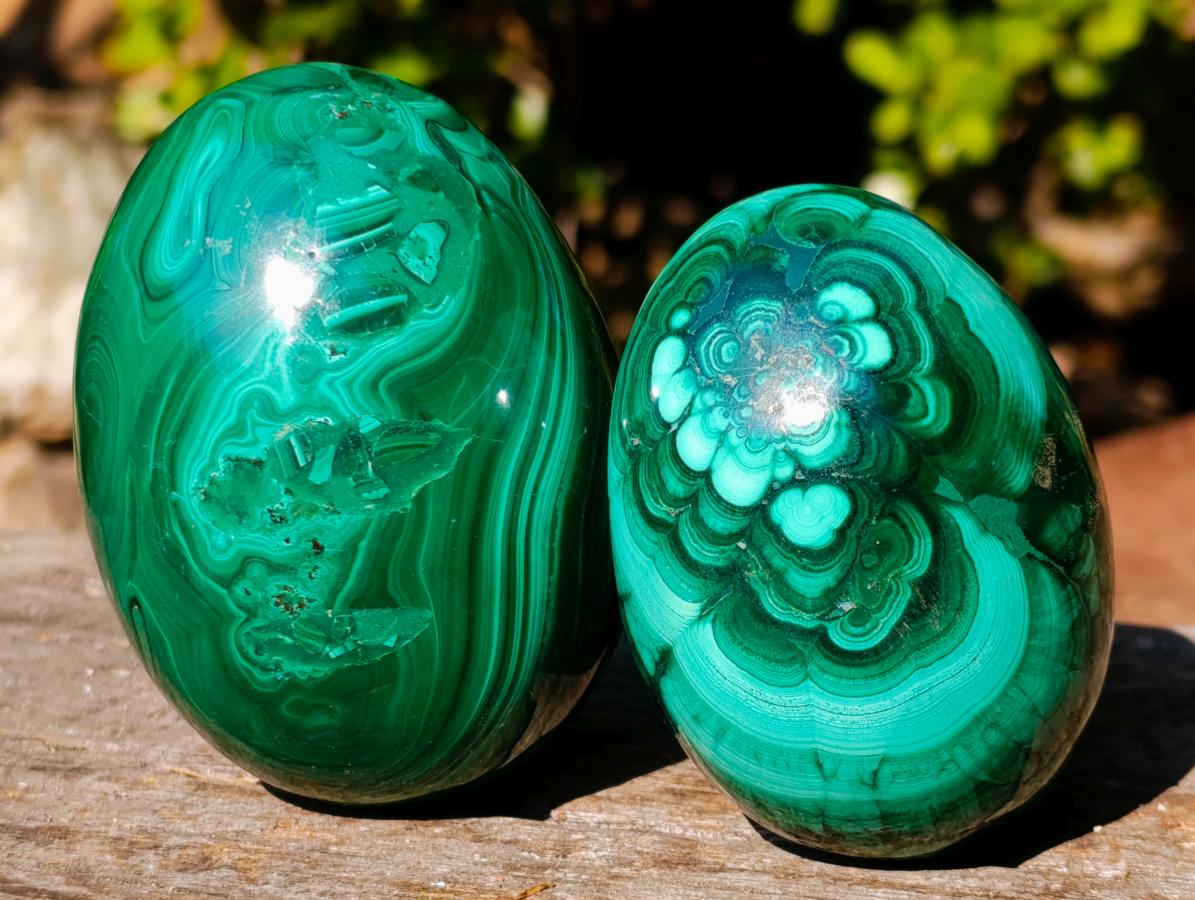 Polished Flower Banded Malachite Gemstone Eggs x 2 From Congo - Toprock Gemstones and Minerals 