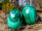 Polished Flower Banded Malachite Gemstone Eggs x 2 From Congo - Toprock Gemstones and Minerals 