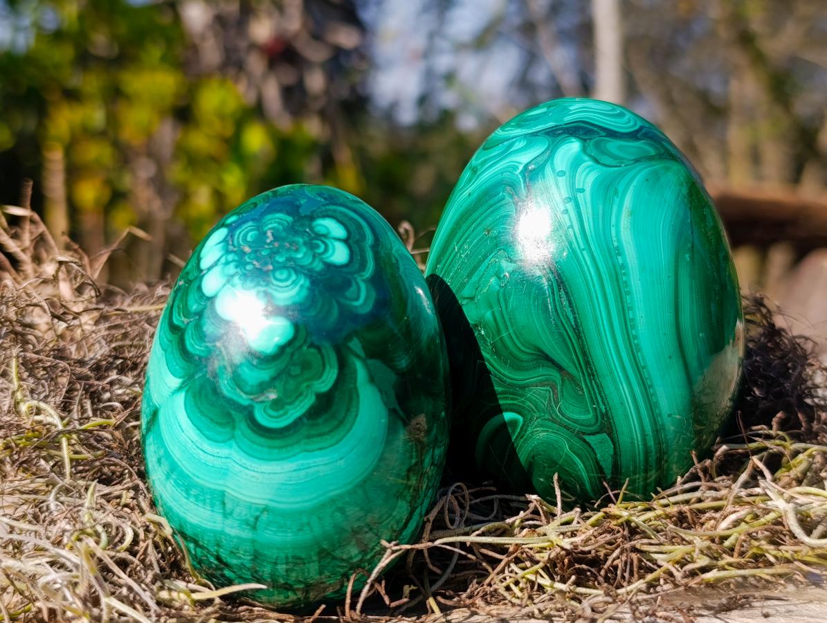 Polished Flower Banded Malachite Gemstone Eggs x 2 From Congo - Toprock Gemstones and Minerals 