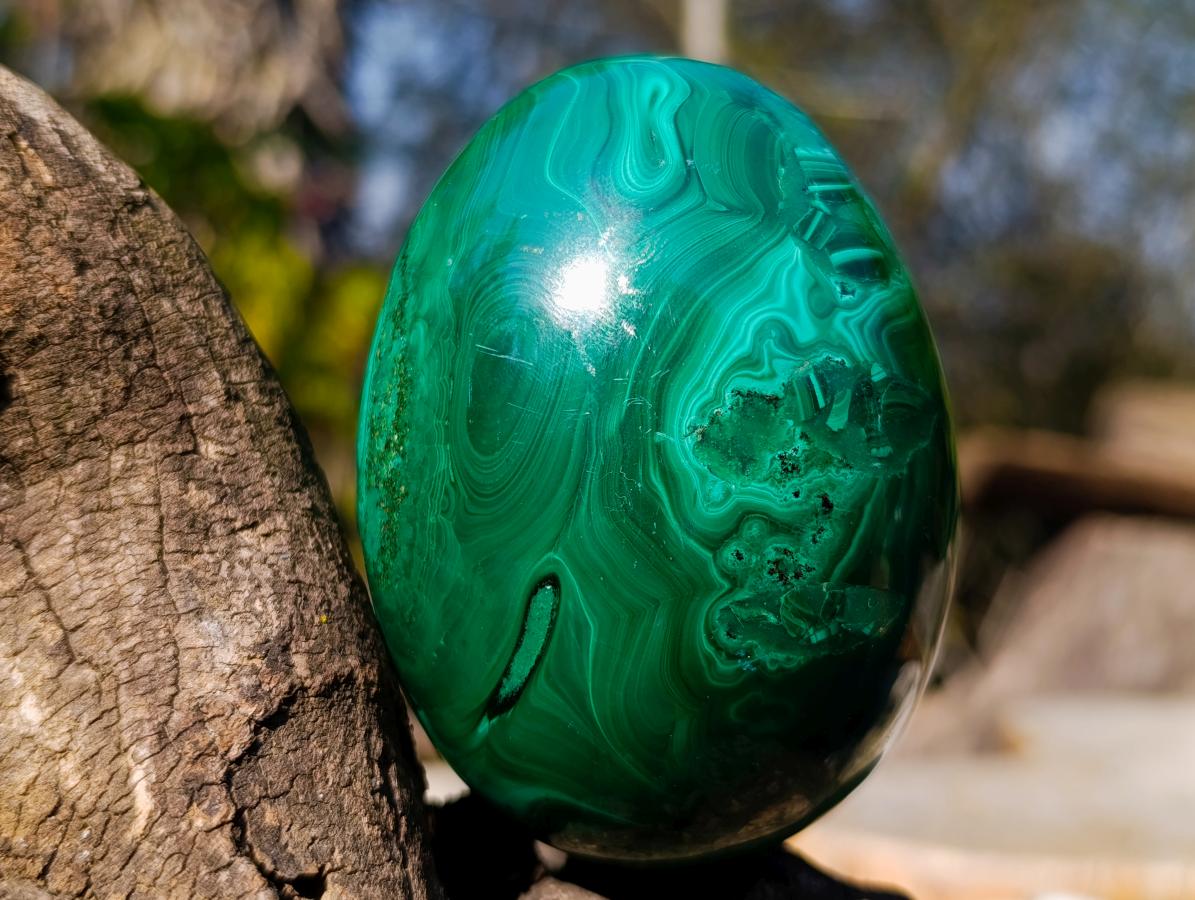 Polished Flower Banded Malachite Gemstone Eggs x 2 From Congo - Toprock Gemstones and Minerals 