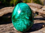 Polished Flower Banded Malachite Gemstone Eggs x 2 From Congo - Toprock Gemstones and Minerals 