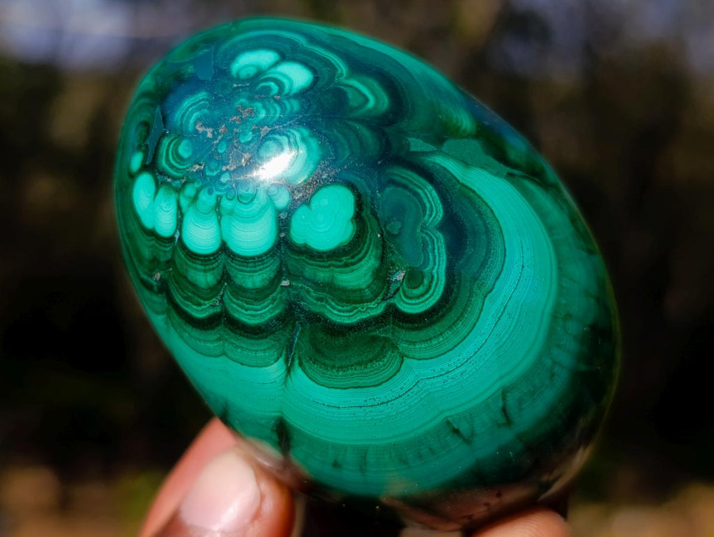 Polished Flower Banded Malachite Gemstone Eggs x 2 From Congo - Toprock Gemstones and Minerals 