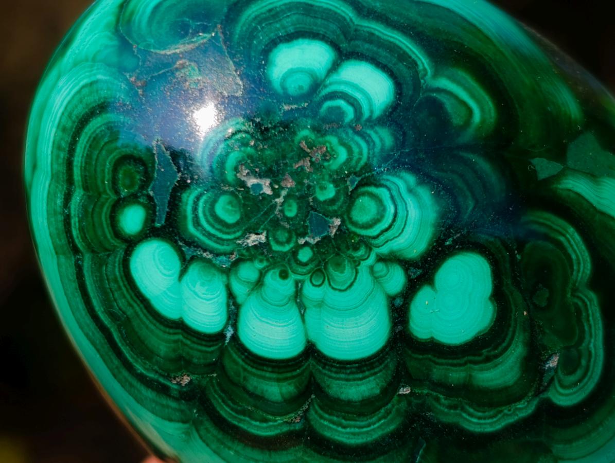 Polished Flower Banded Malachite Gemstone Eggs x 2 From Congo - Toprock Gemstones and Minerals 