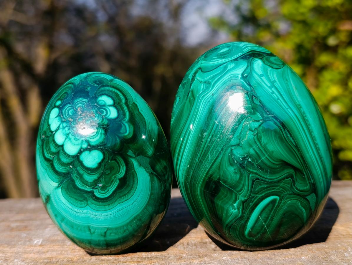 Polished Flower Banded Malachite Gemstone Eggs x 2 From Congo - Toprock Gemstones and Minerals 