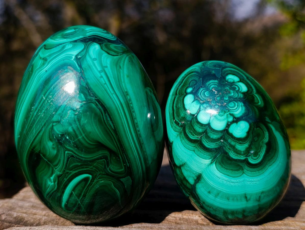 Polished Flower Banded Malachite Gemstone Eggs x 2 From Congo - Toprock Gemstones and Minerals 