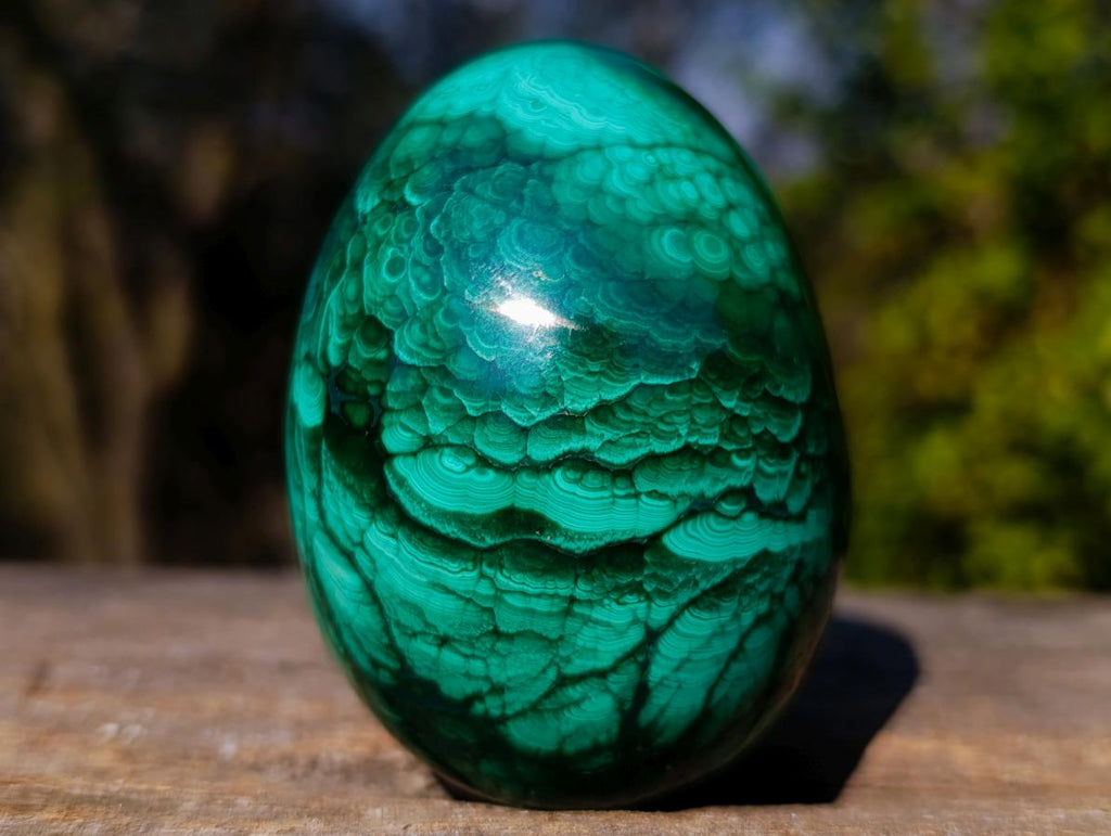 Polished Flower Banded Malachite Gemstone Eggs x 2 From Congo - Toprock Gemstones and Minerals 