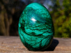 Polished Flower Banded Malachite Gemstone Eggs x 2 From Congo - Toprock Gemstones and Minerals 