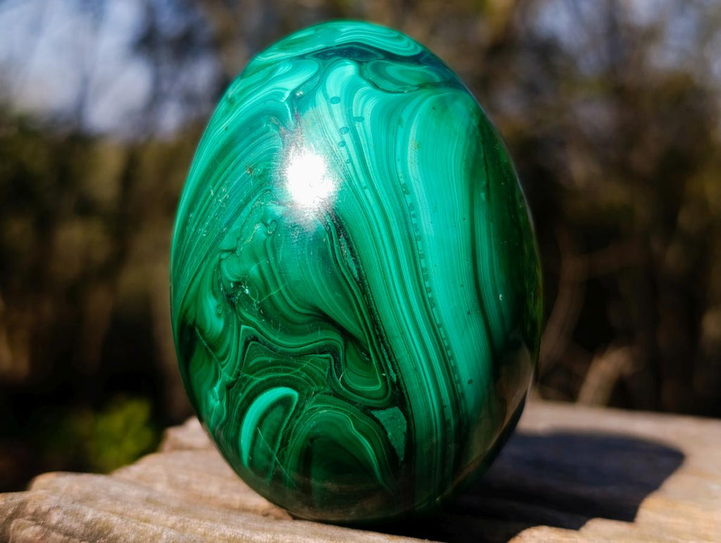 Polished Flower Banded Malachite Gemstone Eggs x 2 From Congo - Toprock Gemstones and Minerals 