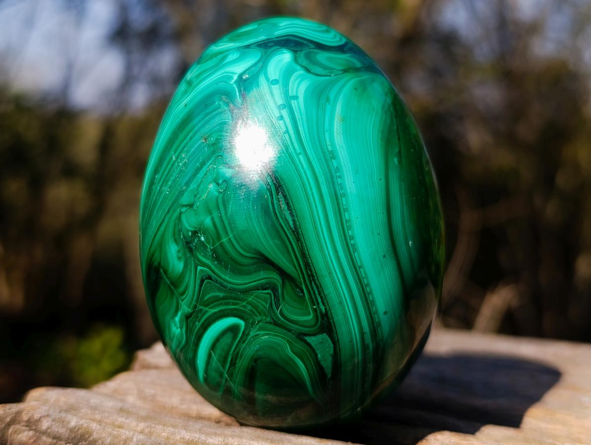 Polished Flower Banded Malachite Gemstone Eggs x 2 From Congo - Toprock Gemstones and Minerals 