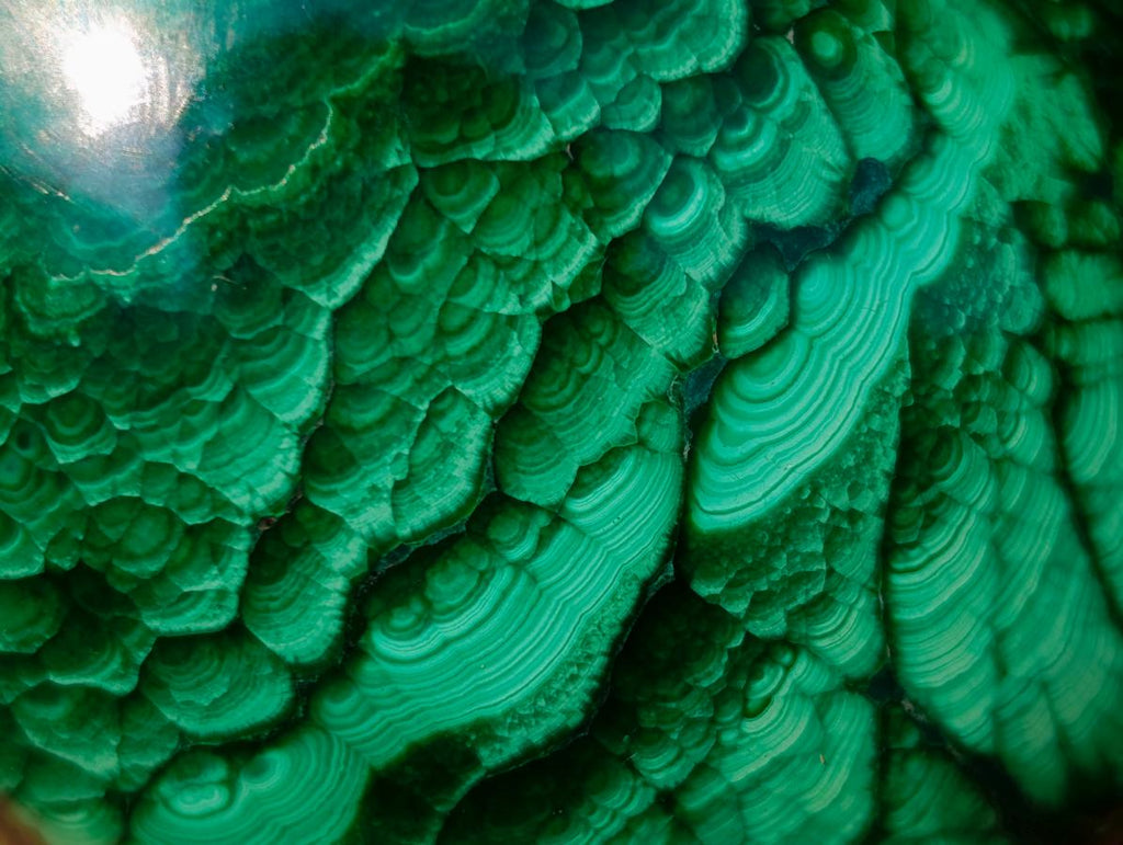 Polished Flower Banded Malachite Gemstone Eggs x 2 From Congo - Toprock Gemstones and Minerals 
