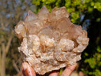 Natural Cascading White Phantom Smokey Luena Quartz Clusters x 2 From Luena, Congo - Toprock Gemstones and Minerals 