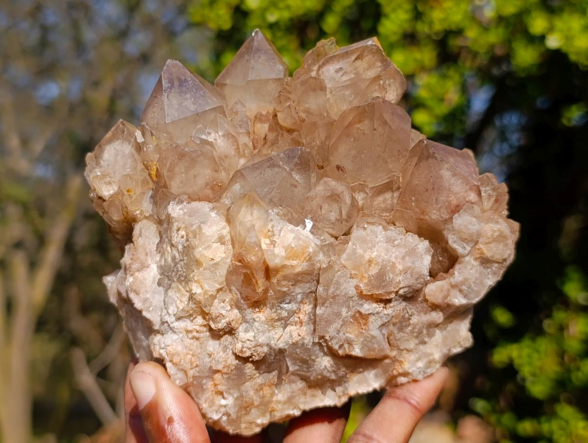 Natural Cascading White Phantom Smokey Luena Quartz Clusters x 2 From Luena, Congo - Toprock Gemstones and Minerals 