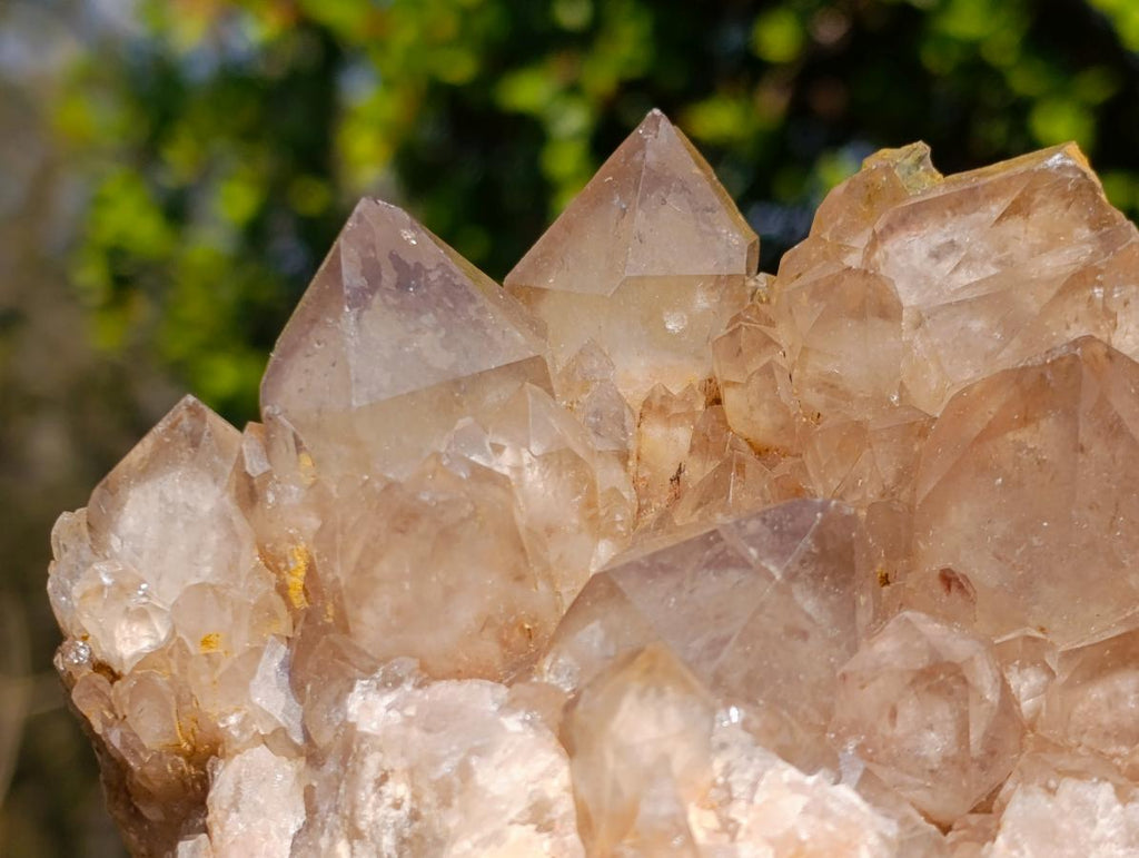 Natural Cascading White Phantom Smokey Luena Quartz Clusters x 2 From Luena, Congo - Toprock Gemstones and Minerals 