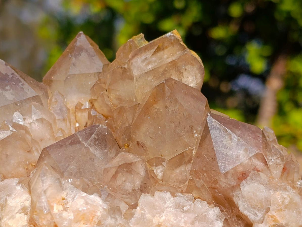 Natural Cascading White Phantom Smokey Luena Quartz Clusters x 2 From Luena, Congo - Toprock Gemstones and Minerals 