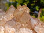 Natural Cascading White Phantom Smokey Luena Quartz Clusters x 2 From Luena, Congo - Toprock Gemstones and Minerals 
