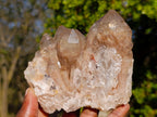 Natural Cascading White Phantom Smokey Luena Quartz Clusters x 2 From Luena, Congo - Toprock Gemstones and Minerals 