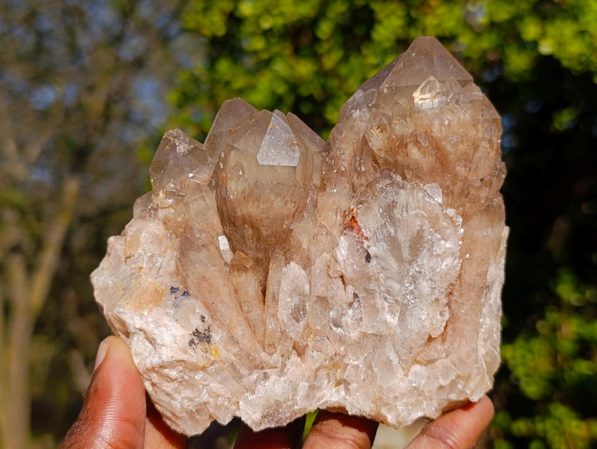 Natural Cascading White Phantom Smokey Luena Quartz Clusters x 2 From Luena, Congo - Toprock Gemstones and Minerals 