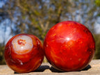Polished Carnelian Agate Gemstone Spheres x 6 From Madagascar - Toprock Gemstones and Minerals 