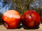 Polished Carnelian Agate Gemstone Spheres x 6 From Madagascar - Toprock Gemstones and Minerals 