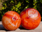 Polished Carnelian Agate Gemstone Spheres x 6 From Madagascar - Toprock Gemstones and Minerals 