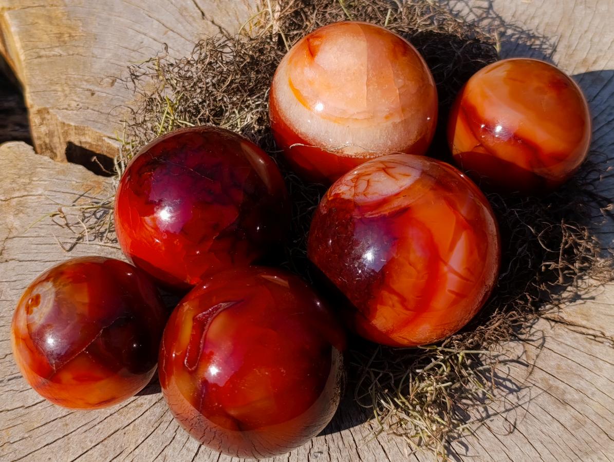 Polished Carnelian Agate Gemstone Spheres x 6 From Madagascar - Toprock Gemstones and Minerals 