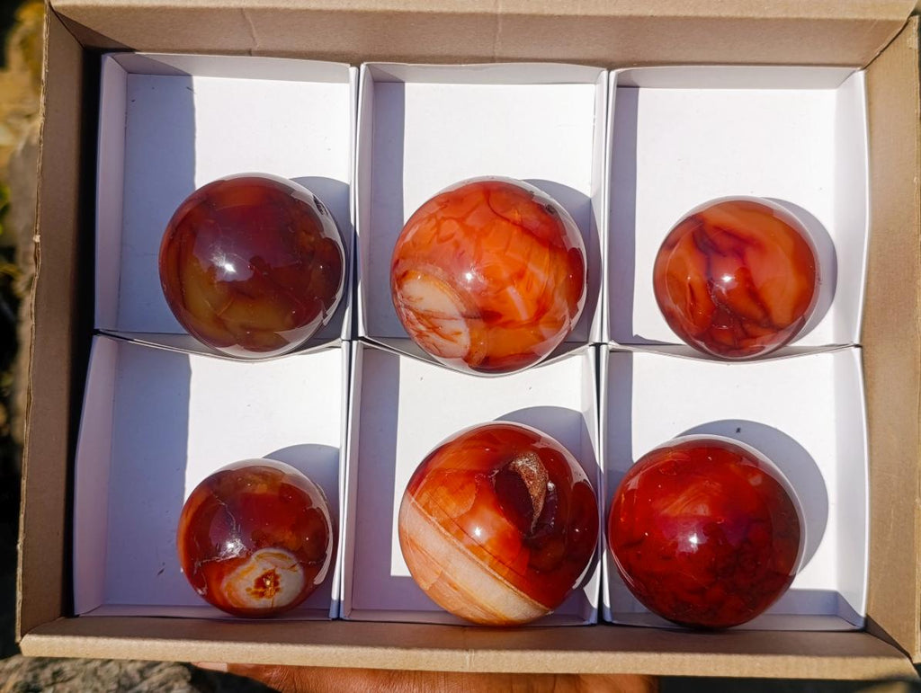 Polished Carnelian Agate Gemstone Spheres x 6 From Madagascar - Toprock Gemstones and Minerals 
