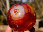 Polished Carnelian Agate Gemstone Spheres x 6 From Madagascar - Toprock Gemstones and Minerals 