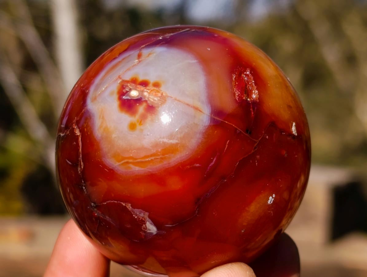 Polished Carnelian Agate Gemstone Spheres x 6 From Madagascar - Toprock Gemstones and Minerals 
