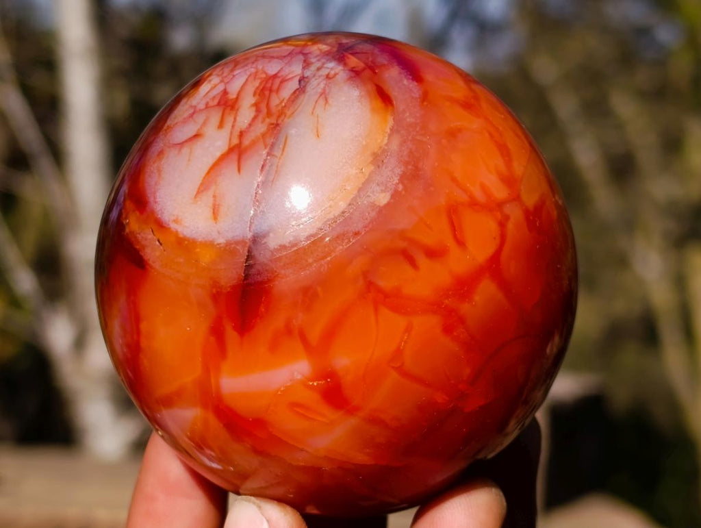 Polished Carnelian Agate Gemstone Spheres x 6 From Madagascar - Toprock Gemstones and Minerals 