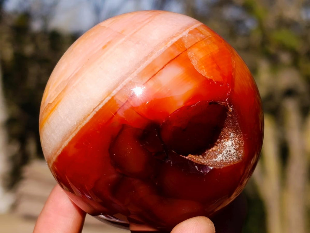 Polished Carnelian Agate Gemstone Spheres x 6 From Madagascar - Toprock Gemstones and Minerals 