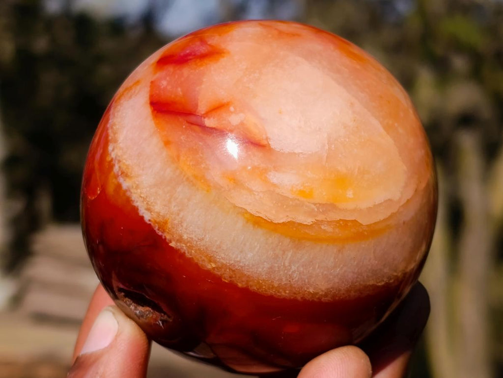 Polished Carnelian Agate Gemstone Spheres x 6 From Madagascar - Toprock Gemstones and Minerals 