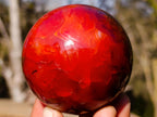 Polished Carnelian Agate Gemstone Spheres x 6 From Madagascar - Toprock Gemstones and Minerals 