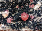 Natural Spherocobaltite Specimens x 6 From Musonoi Mine, Congo - Toprock Gemstones and Minerals 