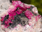 Natural Spherocobaltite Specimens x 6 From Musonoi Mine, Congo - Toprock Gemstones and Minerals 