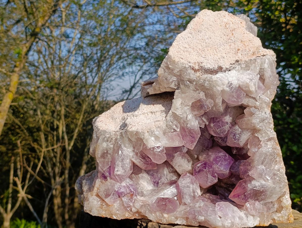 Natural XL Jacaranda Amethyst Crystal Cluster x 1 From Mumbwa, Zambia - Toprock Gemstones and Minerals 