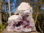 Natural XL Jacaranda Amethyst Crystal Cluster x 1 From Mumbwa, Zambia - Toprock Gemstones and Minerals 